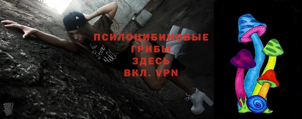 тгк Арсеньев