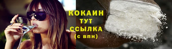 тгк Арсеньев