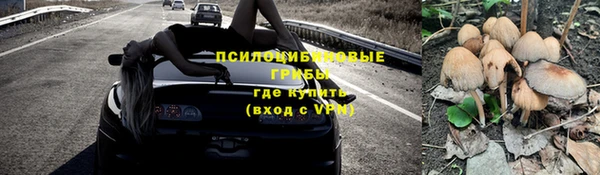 тгк Арсеньев